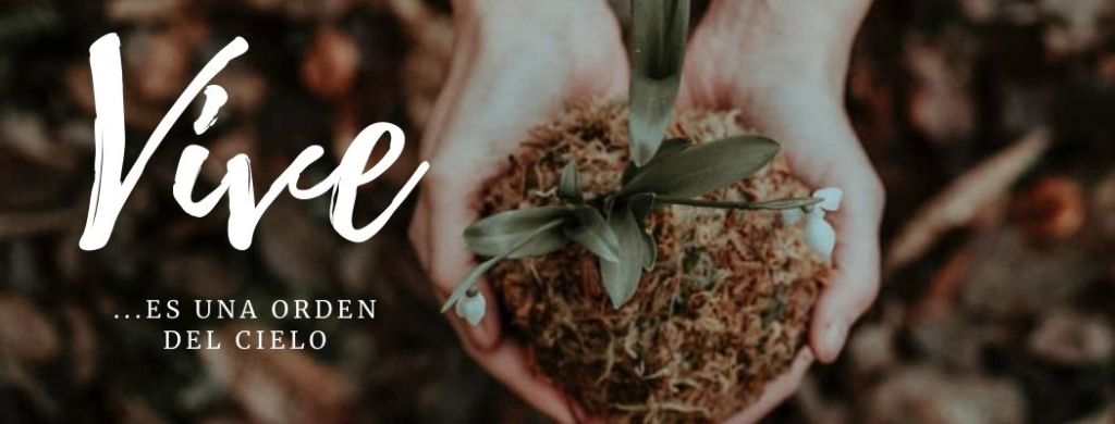 Una orden del cielo&nbsp;:Vive