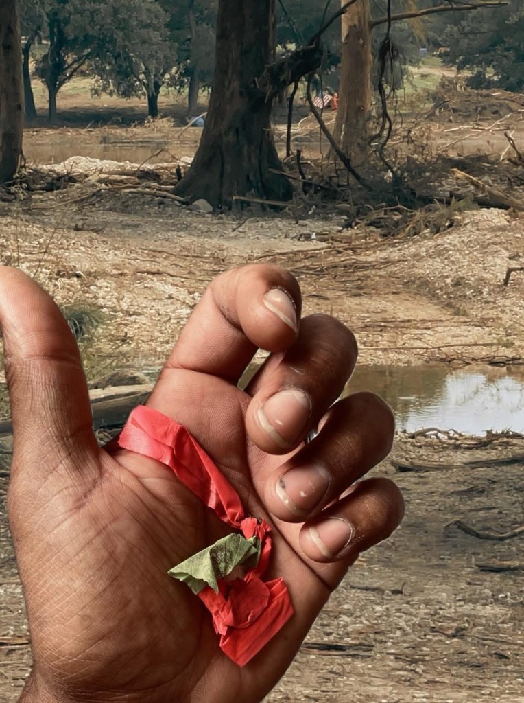 Desenterrar la esperanza